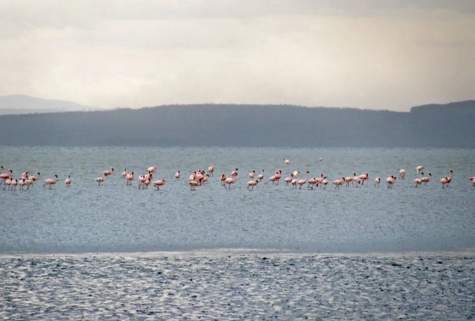 Rift Valley lake landscape for Lake Abijatta