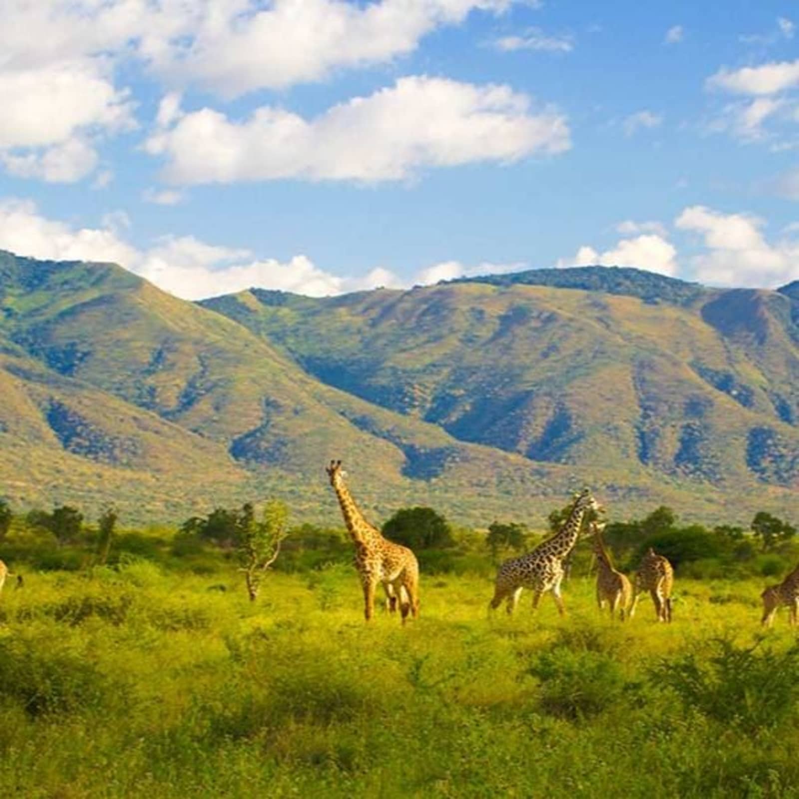 Omo Valley route near Mago National Park
