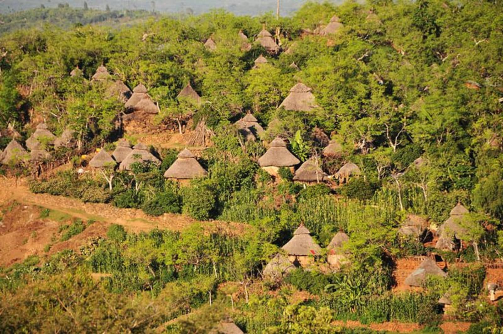 Southern Ethiopia cultural route through Konso