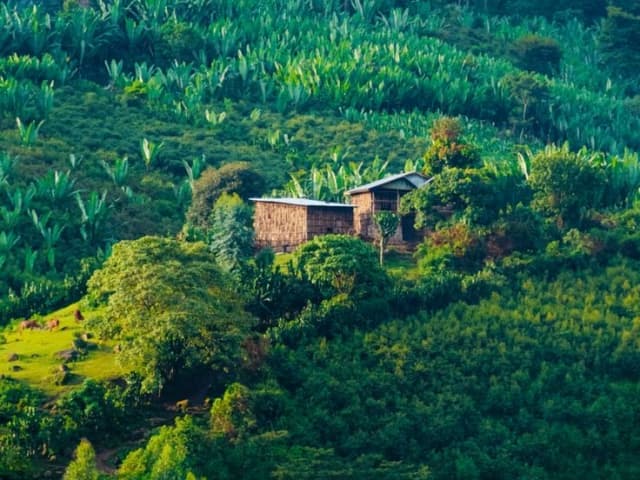 6-Day Ethiopia Holiday Package Tour in Addis Ababa
