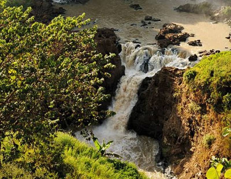 Ethio Origins tour gallery image 58